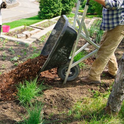 Mulching