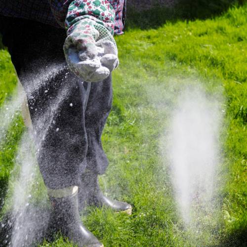 Fertilizing